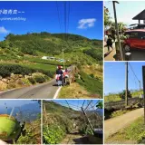 00021 回程途中喝個椰子汁