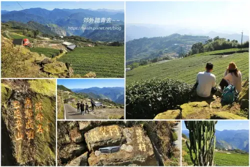 00022 二延平步道茶園風光.webp