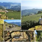 00022 二延平步道茶園風光