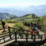 00015 二延平步道沒有看到雲海很可惜