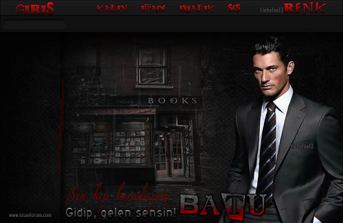 Bay Radyo Tema 174 BATU