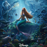 mdszPVnIY7cWgbgJ8zbwu1PiU5V