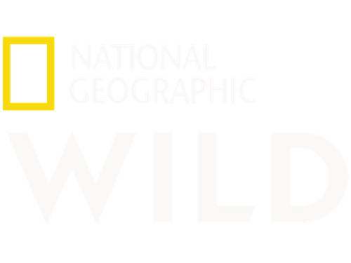 Nat Geo Wild.png