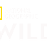 Nat Geo Wild