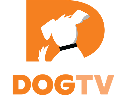 Dog TV.png