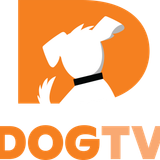 Dog TV