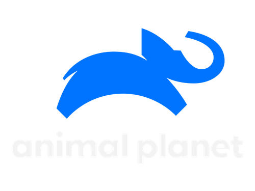 Animal Planet.png