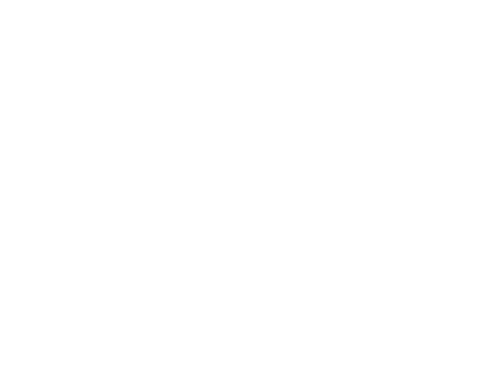 Action MAX.png