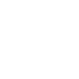 Action MAX