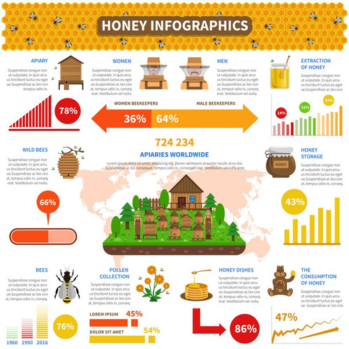 Nifty Bees Share Price Chart.jpg