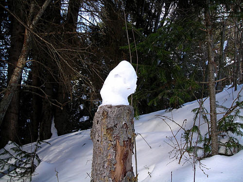 DSCN2217 1.jpg