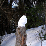 DSCN2217 1
