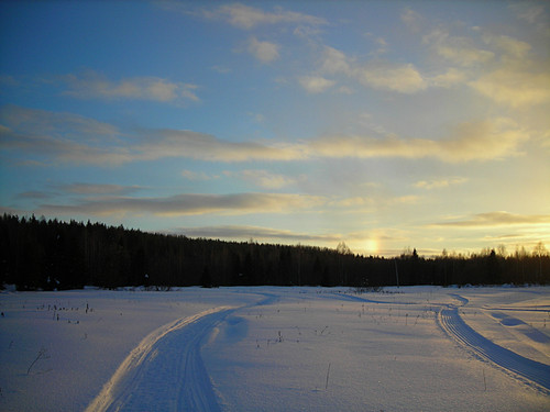 DSCN2234 1.jpg