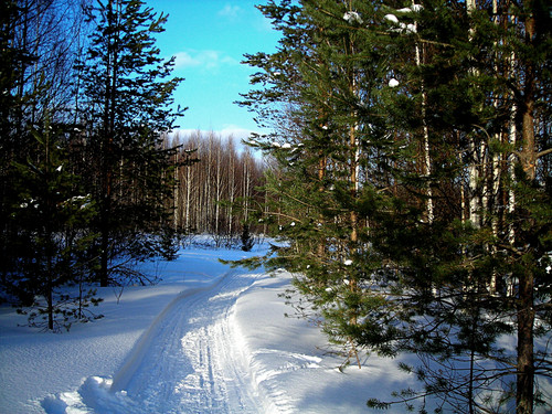 DSCN2232 1.jpg