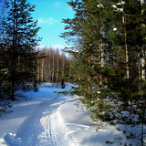 DSCN2232 1