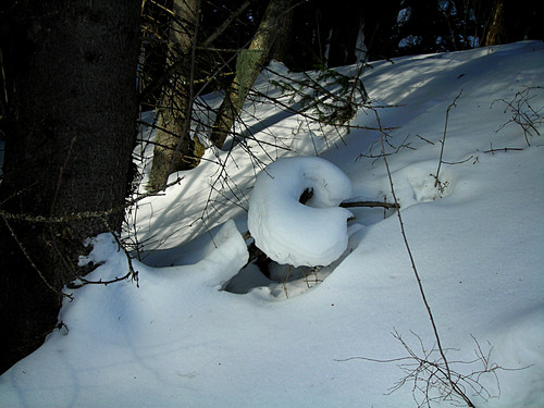 DSCN2219 1.jpg