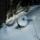 DSCN2219 1