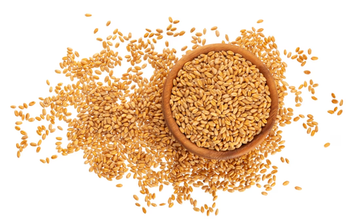 wheat.png