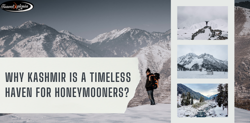 What Makes Kashmir A Timeless Haven For Honeymooners?.png