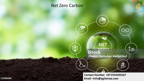 netzeroconsultant photo 14 march.jpg