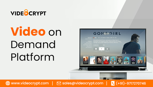 Streaming Beyond Limits: Revealing the Potential of VOD Services.png