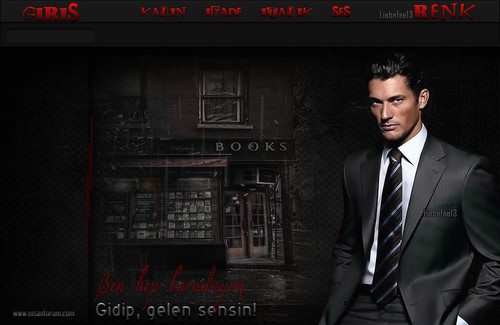 Bay Radyo Tema 174 liebefee13