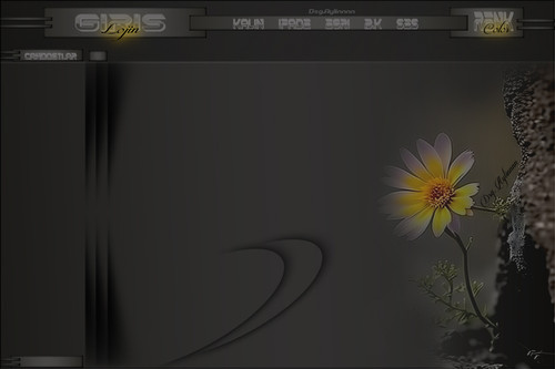 konuşup çiçekli sade tema.jpg