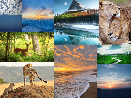 ' Glorified is The Mighty Creator '.jpg