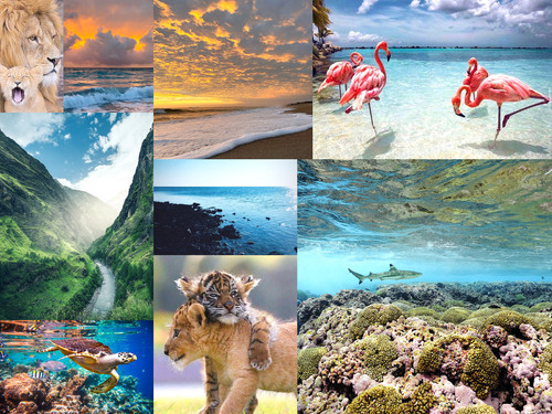 ' Glorified is The Mighty Creator '.jpg