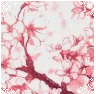 ddbkgbu a5359d17 8142 4351 8ad8 fec1506e6662.gif