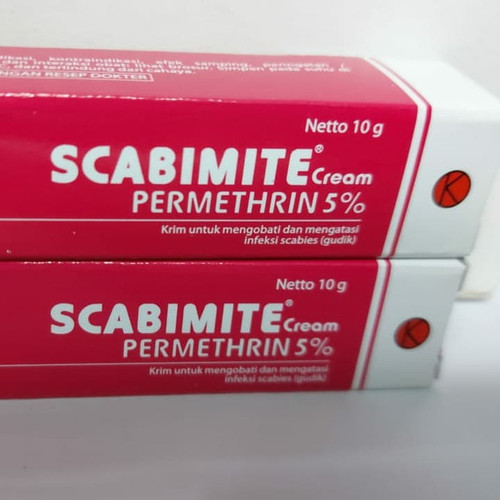 8556773 210414fb fc56 4324 9420 d7b31258eaa5 720 720.jpg