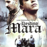 sXddTe0NPlYsFnZYgi64iPSPb9q