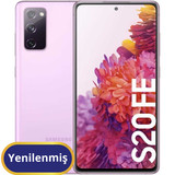 s20femor
