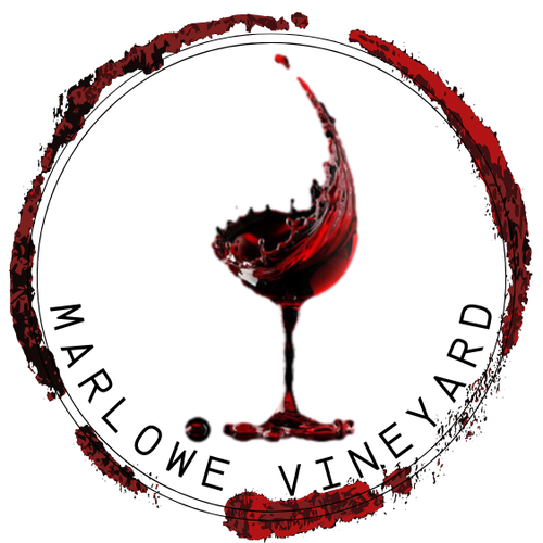 Logo vignoble 7.png
