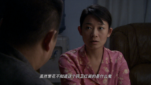 正片｜石榴树上结樱桃 0 1920x1080 600 ts 25 1 2 AVC.mkv 20240314 090506.714.png