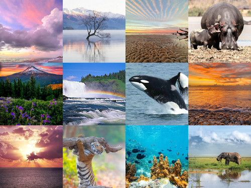 ' Glorified is The Mighty Creator  '.jpg