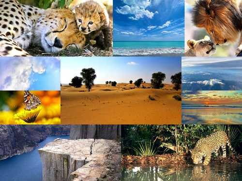 '  Glorified is The Mighty Creator   '.jpg