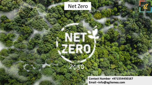 Net zero 16 march phto.jpg