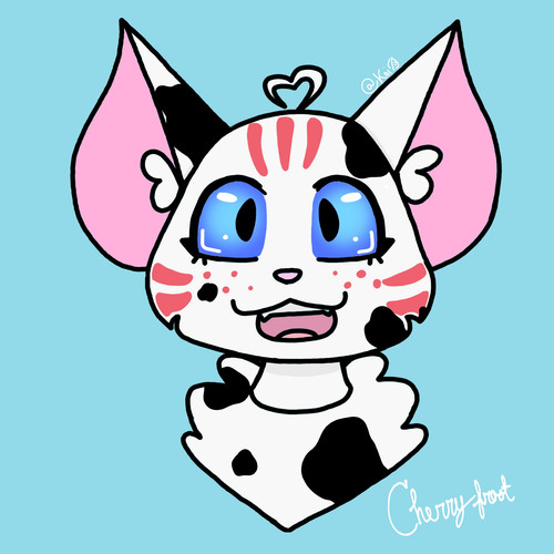 This is for Havenpaw/willow!! Enjoy ;)