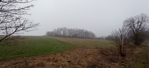 IMG 20240310 095141