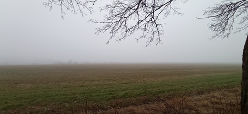 IMG 20240310 094803