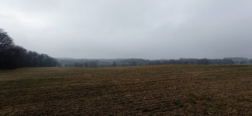 IMG 20240310 105349