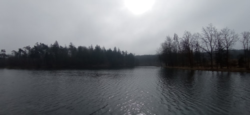 IMG 20240310 102423