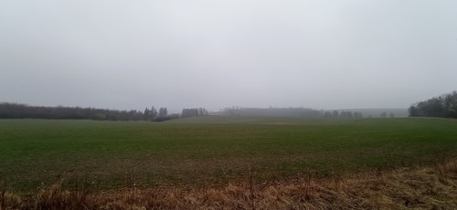 IMG 20240310 100123