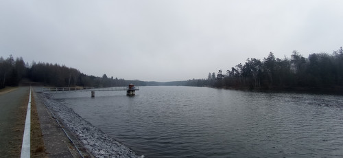 IMG 20240310 102426