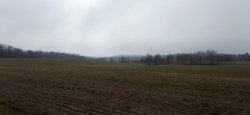 IMG 20240310 105129