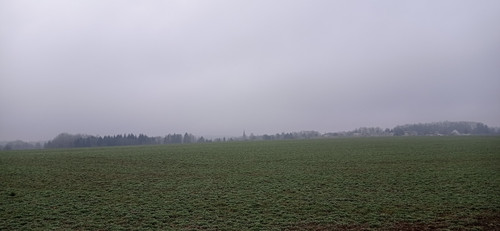 IMG 20240310 104316