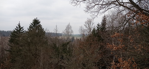IMG 20240310 163923
