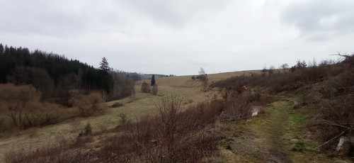 IMG 20240310 145330