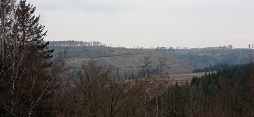 IMG 20240310 163942
